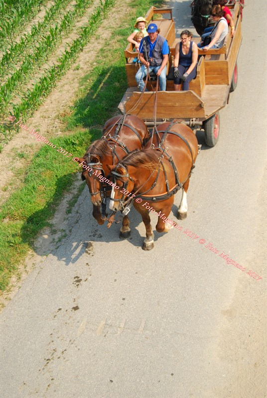 DSC_4996.JPG